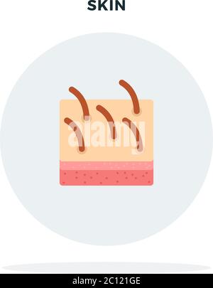 Pelle umana in sezione e in cerchio grigio vettore piatto isolato Illustrazione Vettoriale