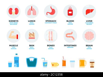 Parti del corpo umano e organi interni, acqua e bevande illustrazione vettoriale in un disegno piatto. Illustrazione Vettoriale