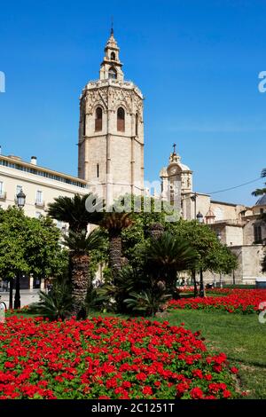 Cattedrale di Valencia, Placa de la Reina, Valencia, Spagna. Foto Stock