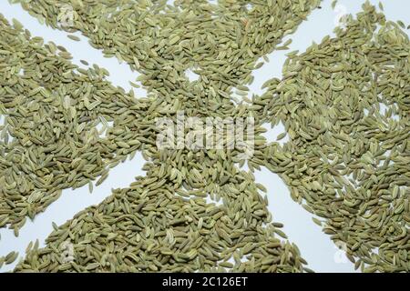 Finocchio verde Foeniculum vulgare isolato su sfondo bianco Foto Stock