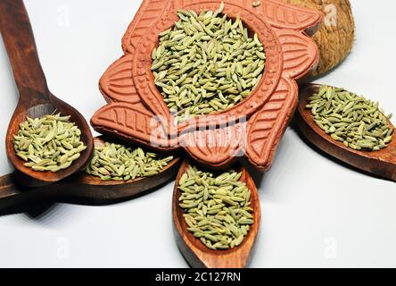 Finocchio verde Foeniculum vulgare isolato su sfondo bianco Foto Stock