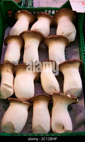 Scatola di funghi tromba del re su un bareto Foto Stock