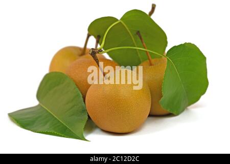 Le pere Nashi, Pyrus pirifolia, isolate su sfondo bianco Foto Stock