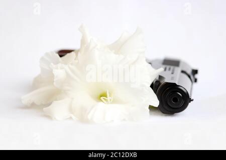 gladiolo bianco fiore e una pistola su sfondo. Foto Stock