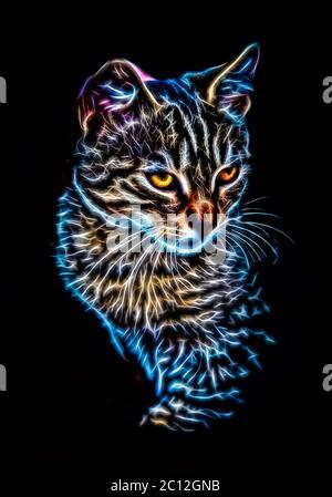 Incandescente cat ritratto Foto Stock