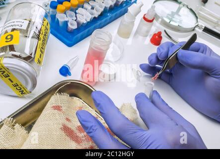 Specialista cop esamina pezzo di macchiate di sangue stoffa appartenenti alla vittima di omicidio, il concetto di immagine Foto Stock