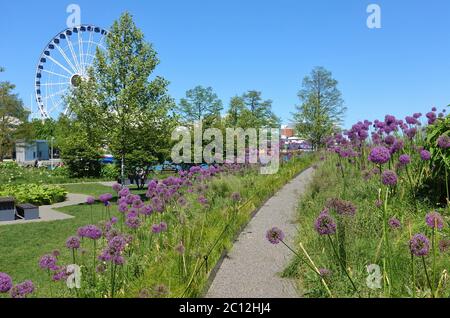 CHICAGO, il -31 MAGGIO 2020- Vista della ruota panoramica Centennial Ferris nel Navy Pier sul lago Michigan a Chicago, Illinois, Stati Uniti. Foto Stock