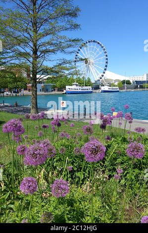 CHICAGO, il -31 MAGGIO 2020- Vista della ruota panoramica Centennial Ferris nel Navy Pier sul lago Michigan a Chicago, Illinois, Stati Uniti. Foto Stock
