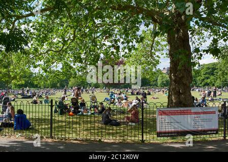 Folle a Clissold Park, a nord di Londra, sabato 13 giugno 2020, durante l'allentamento del blocco di Coronavirus Foto Stock