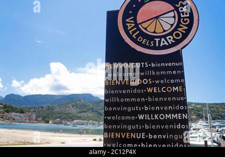 Port De Soller, Spagna. 13 Giugno 2020. Un cartello sulla spiaggia di Port de Soller, un comune con molti abitanti tedeschi o proprietari di seconde case a Maiorca, accoglie gli ospiti al festival arancione 'Vall dels Tarongers'. Le Isole Baleari, che dipendono fortemente dal turismo, possono accogliere fino a 10 900 turisti dalla Germania già nel 15.06.2020 e fino alla fine di giugno. Il progetto pilota è destinato a provare l'emergenza per le vacanze estive a Corona Times. Credit: Clara Margais/dpa/Alamy Live News Foto Stock