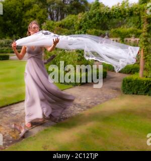 Una cameriera d'onore fa flutter il velo nuziale nel vento. Matrimonio britannico a South Cambridgeshire, Inghilterra Foto Stock