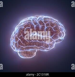 Cervello umano in una struttura di connessioni poligonali che rappresentano la potenza della mente. Illustrazione 3D concettuale. Foto Stock