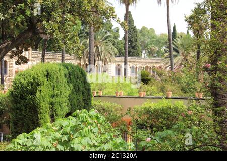 Alcázar Reale Di Siviglia, Spagna Foto Stock