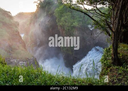 Top of the Falls, Murchison Falls sul Nilo Victoria nel Murchison Falls National Park, Uganda settentrionale, Africa orientale Foto Stock