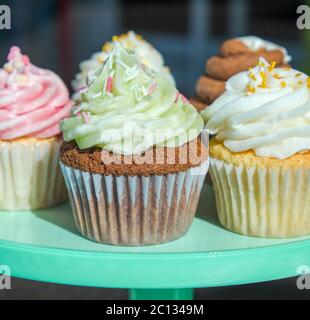 Torte della tazza ghiacciate Foto Stock