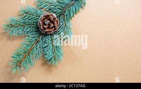 Coni di abete su ramo di abete verde isolati . Foto Stock