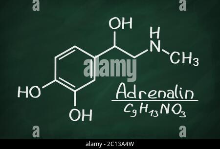 Modello strutturale di Adrenalin Foto Stock