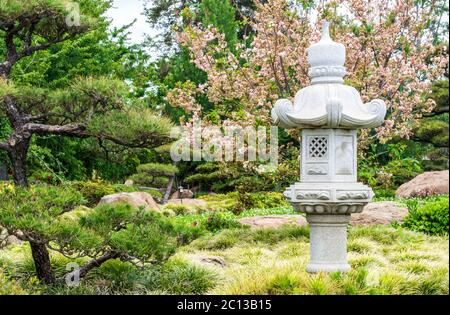 Una bella lanterna di pietra tachi-gata tra verde lussureggiante e alberi di ciliegio in un giardino giapponese con spazio per le copie Foto Stock