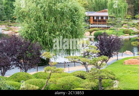 Piante lussureggianti e laghetto sereno in un giardino giapponese con una piccola casa da tè in lontananza Foto Stock