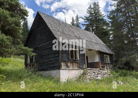 Vecchia capanna abbandonata nei boschi Foto Stock