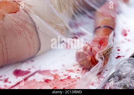 Vegano vegetariano sanguinosa protesta della mano Foto Stock
