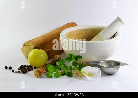 frullatore a base di erbe bianche con aloe vera, uva spina e altre erbe che rappresentano la medicina ayurvedica su sfondo bianco. Foto Stock