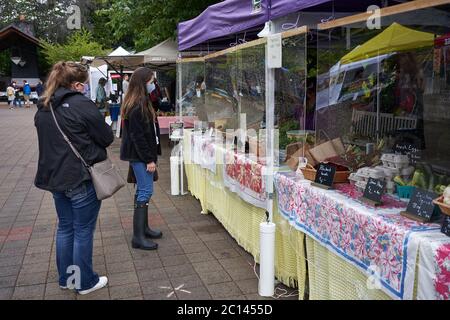 Gli schermi vengono utilizzati per separare acquirenti e venditori presso uno stand di concessione nel mercato agricolo del sabato nel lago Oswego, Oregon, durante la pandemia COVID. Foto Stock