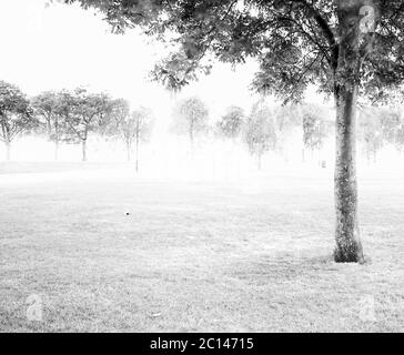 Long Exposure Sunset on Streatham Common Foto Stock