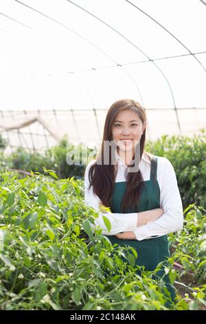 giovane donna asiatica che lavora in casa verde Foto Stock