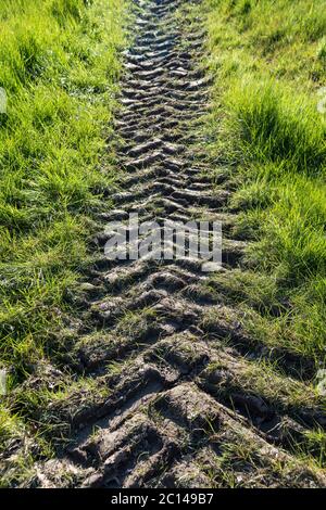 Forti rientranze dagli pneumatici del trattore su terreni agricoli morbidi. Foto Stock