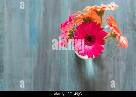 Fiori, arance e rosa in vaso di vetro su sfondo blu, minimal, decorativo, artistico. Foto Stock