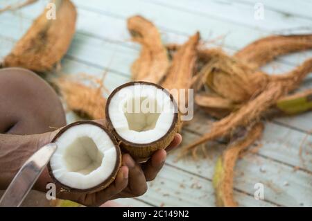 Cocco maturo tagliato a metà nelle mani dell'uomo asiatico con fibra che giace intorno su pavimento di legno bianco Foto Stock