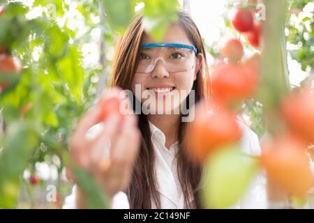 Giovane bella donna asiatica lavora nel campo verde Foto Stock