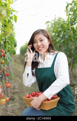 Giovane bella donna asiatica lavora nel campo verde Foto Stock