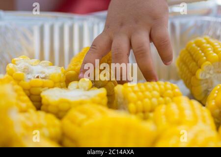 Il bambino raggiunge la mano per ottenere delle pannocchie di mais dolci gialle lucenti in un piatto Foto Stock