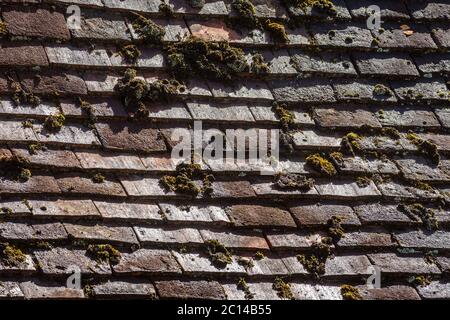 Dettaglio del tetto in tegole. Foto Stock