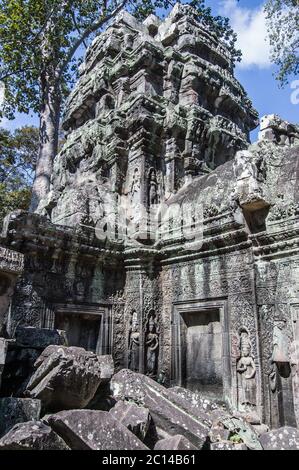 Tumbled giù la muratura all'antico tempiale Khmer di Ta Prohm nella giungla ad Angkor, Siem Reap, Cambogia. Foto Stock