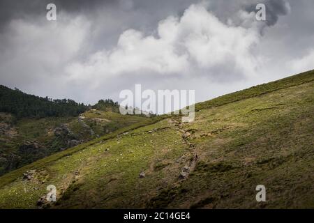 Gli escursionisti saliscono su una collina verde sotto il cielo nuvoloso grigio Foto Stock