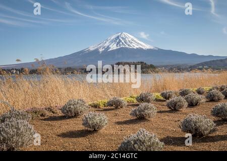 Splendida vista sul Monte Fuji in una giornata limpida. Foto Stock