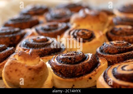 Panini di cioccolato con pasta di lievito fatti in casa, immagine ravvicinata profondità di campo poco profonda Foto Stock