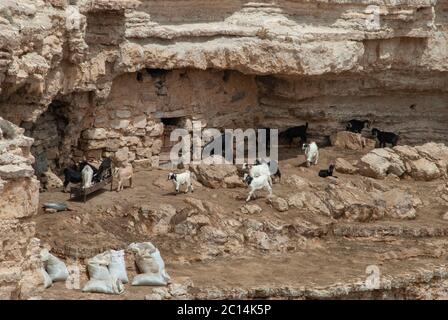 I beduini vivono in grotte naturali, nei pressi di Petra, Giordania Foto Stock