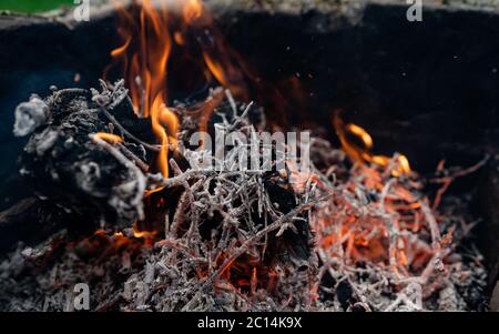 Vista ravvicinata estrema a legna che brucia con fiamme. Fiamma arancione di fuoco che cucinano al palo. Fuoco di accampamento fiamme, fuoco carbone legna fuoco Foto Stock