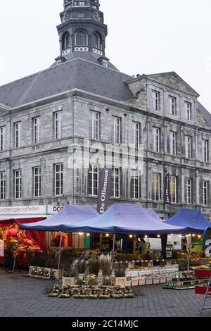 Vista delle bancarelle del mercato con fiori e con il municipio di Maastricht dietro di esso sul Markt nel centro di Maastricht, Paesi Bassi Foto Stock