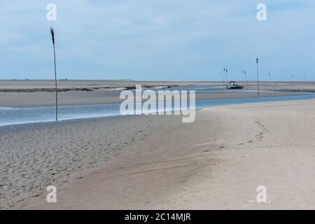 Insenature maree nel mare di wadden con bassa marea, Mare del Nord vicino all'isola di Neuwerk, Stato federale di Amburgo, Germania del Nord, Patrimonio Mondiale dell'UNESCO Foto Stock