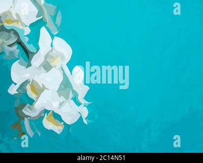 White Orchid phaleanopsis su sfondo blu con spazio di copia Foto Stock
