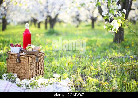 Cestino, panini, plaid e succo di frutta in un giardino fiorito Foto Stock