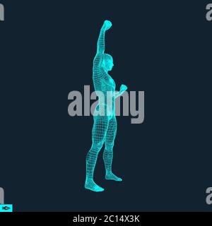 In piedi Man. Uomo con braccio in alto. Silhouette per lo sport campionato. La vittoria di celebrazione. Modello 3D dell'uomo. Illustrazione Vettoriale. Illustrazione Vettoriale