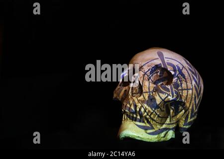 Un cranio isolato e uno sfondo nero chiaro con il logo dell'Organizzazione Mondiale della Sanità CHE ha proiettato su di esso. Concetto di Corona virus covid-19 Foto Stock