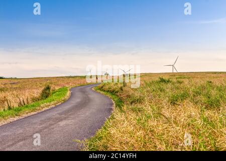 Strada attraverso prati e moderne ruote del vento per la produzione di energia ecologica in background Foto Stock