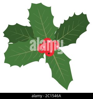 Foglie di agrifoglio e bacche in composizione Illustrazione Vettoriale